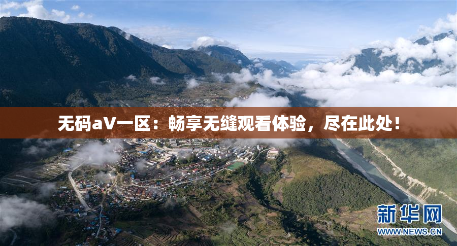 无码aV一区：畅享无缝观看体验，尽在此处！