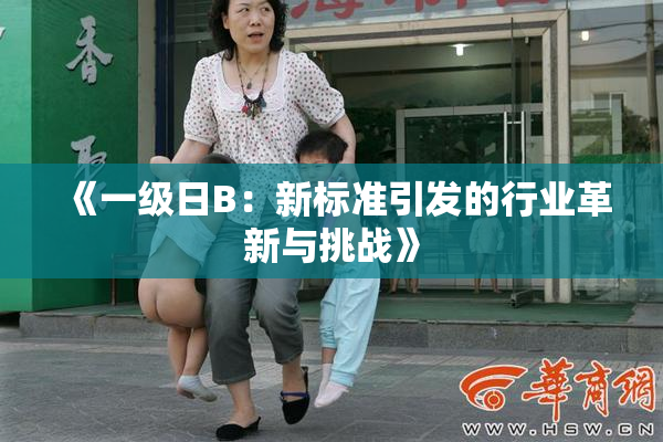 《一级日B：新标准引发的行业革新与挑战》