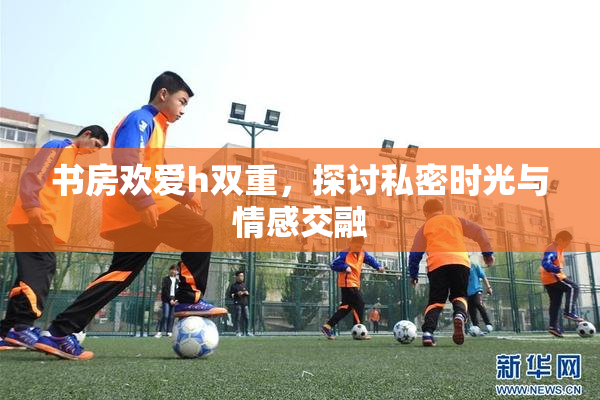 书房欢爱h双重，探讨私密时光与情感交融