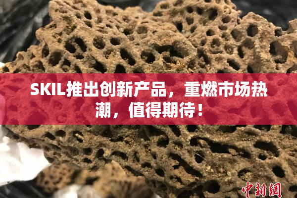 SKIL推出创新产品，重燃市场热潮，值得期待！