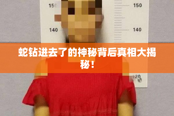蛇钻进去了的神秘背后真相大揭秘！