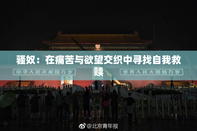 骚奴：在痛苦与欲望交织中寻找自我救赎