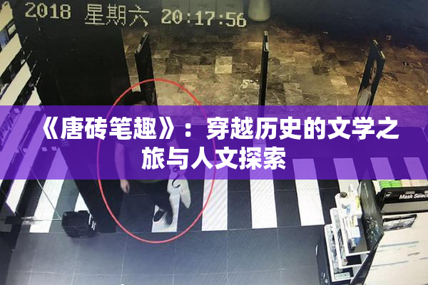 《唐砖笔趣》：穿越历史的文学之旅与人文探索