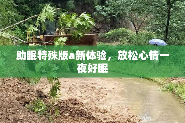 助眠特殊版a新体验，放松心情一夜好眠