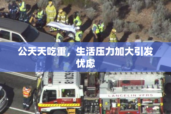 公天天吃重，生活压力加大引发忧虑