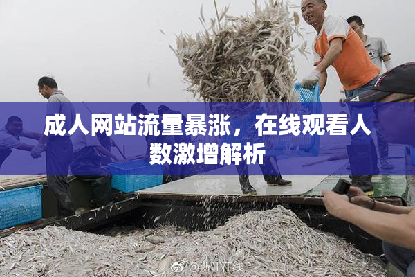 成人网站流量暴涨，在线观看人数激增解析