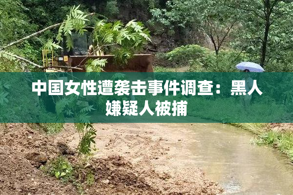 中国女性遭袭击事件调查：黑人嫌疑人被捕
