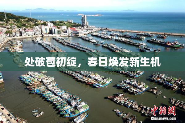 处破苞初绽，春日焕发新生机