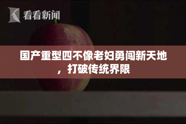 国产重型四不像老妇勇闯新天地，打破传统界限