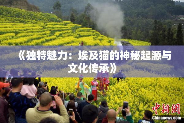 《独特魅力：埃及猫的神秘起源与文化传承》