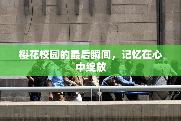 樱花校园的最后瞬间，记忆在心中绽放
