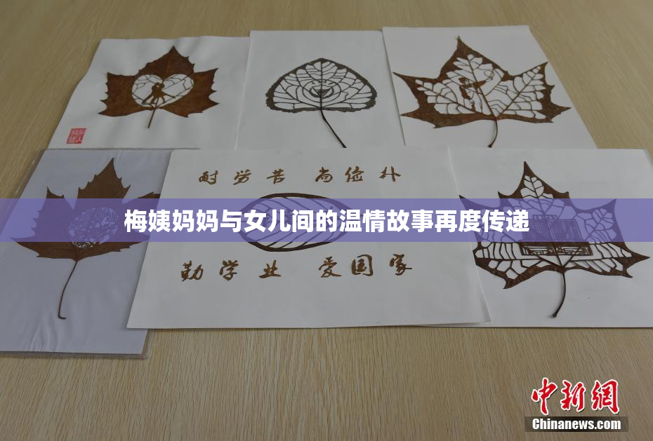 梅姨妈妈与女儿间的温情故事再度传递