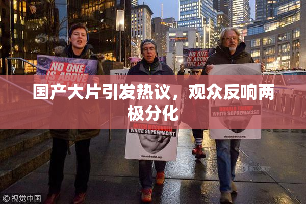 国产大片引发热议，观众反响两极分化