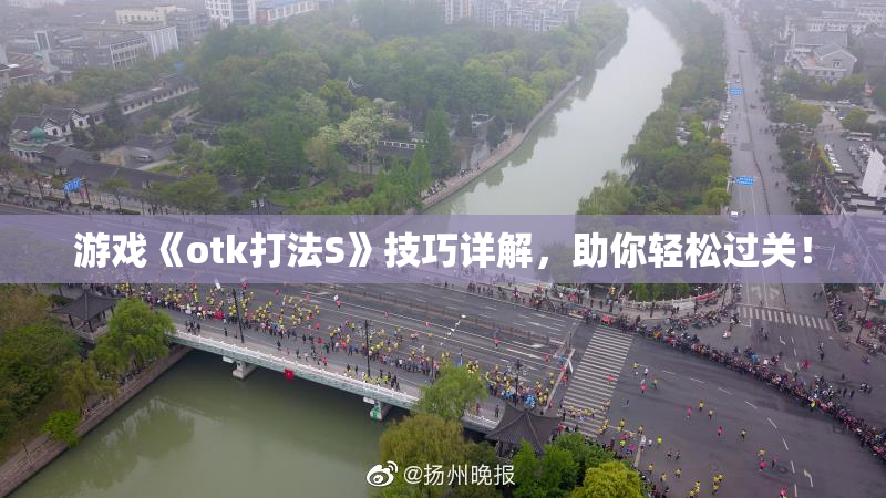 游戏《otk打法S》技巧详解，助你轻松过关！