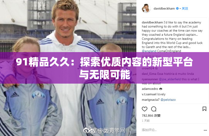 91精品久久：探索优质内容的新型平台与无限可能