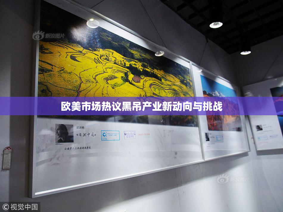 欧美市场热议黑吊产业新动向与挑战