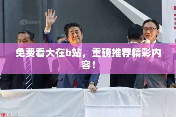 免费看大在b站，重磅推荐精彩内容！