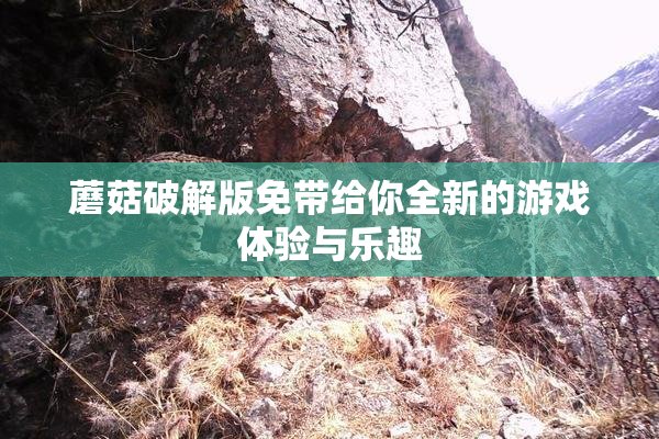 蘑菇破解版免带给你全新的游戏体验与乐趣
