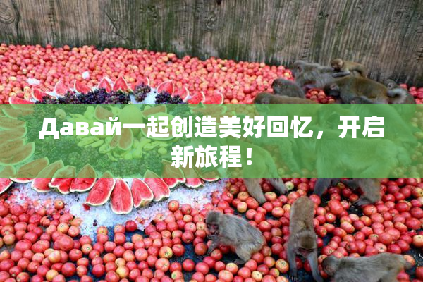 Давай一起创造美好回忆，开启新旅程！