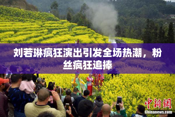 刘若琳疯狂演出引发全场热潮，粉丝疯狂追捧