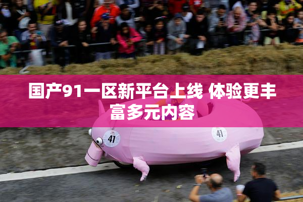 国产91一区新平台上线 体验更丰富多元内容