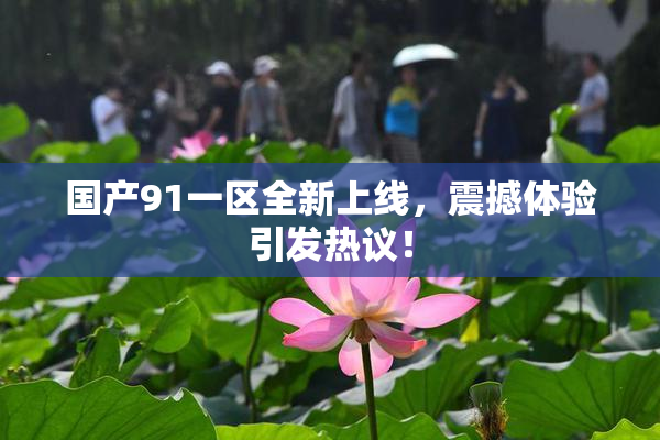 国产91一区全新上线，震撼体验引发热议！