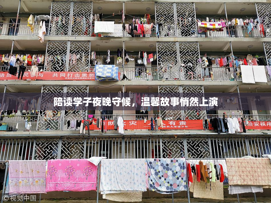陪读学子夜晚守候，温馨故事悄然上演