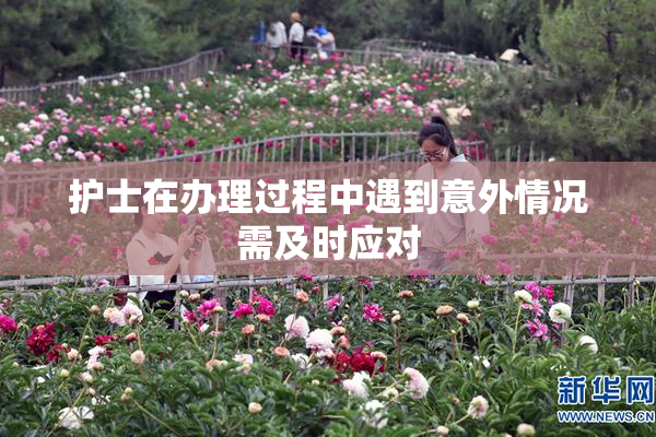 护士在办理过程中遇到意外情况需及时应对