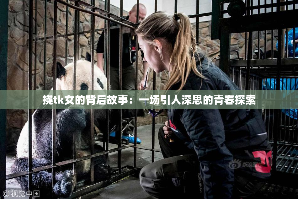 挠tk女的背后故事：一场引人深思的青春探索