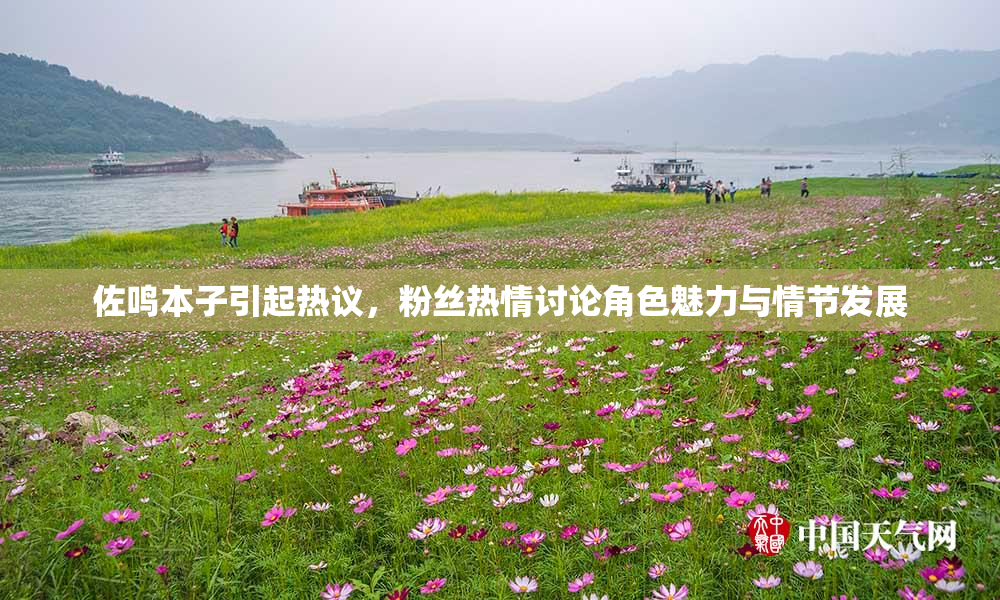 佐鸣本子引起热议，粉丝热情讨论角色魅力与情节发展