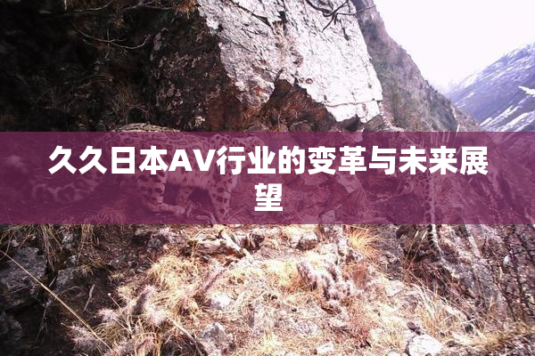 久久日本AV行业的变革与未来展望