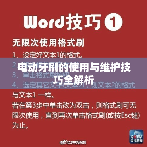 电动牙刷的使用与维护技巧全解析