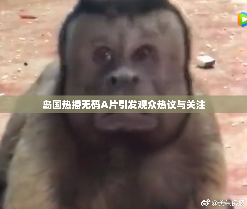 岛国热播无码A片引发观众热议与关注