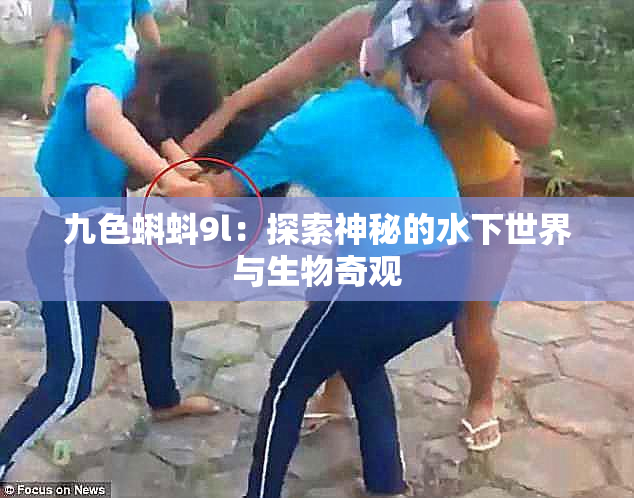 九色蝌蚪9l：探索神秘的水下世界与生物奇观