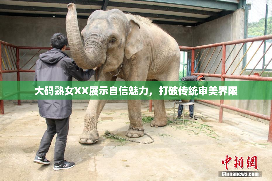 大码熟女XX展示自信魅力，打破传统审美界限