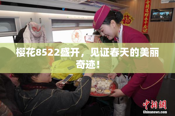 樱花8522盛开，见证春天的美丽奇迹！