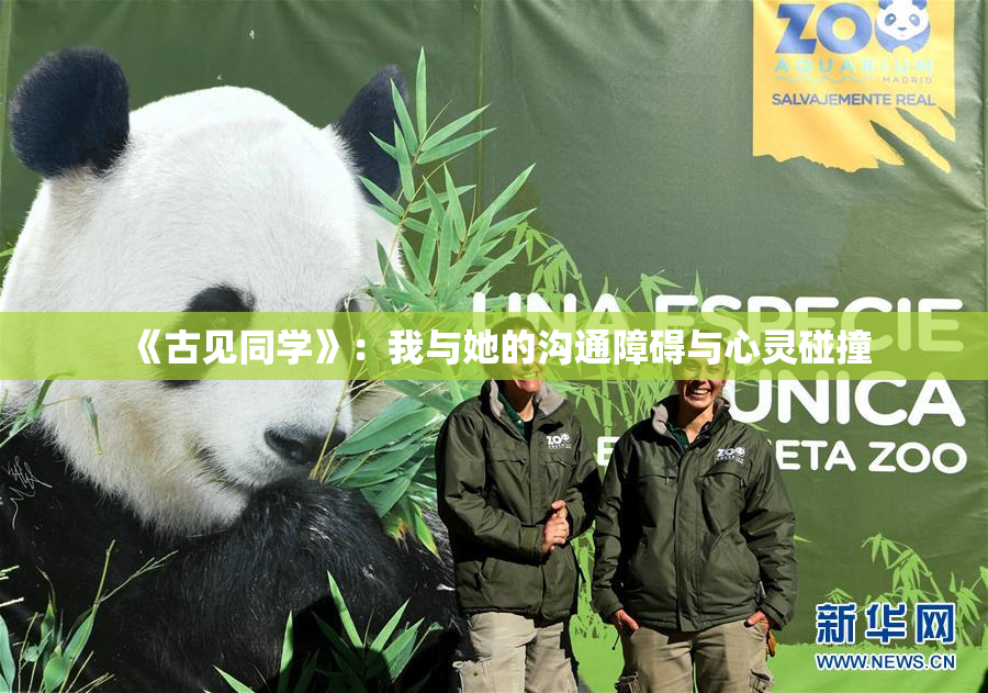 《古见同学》：我与她的沟通障碍与心灵碰撞