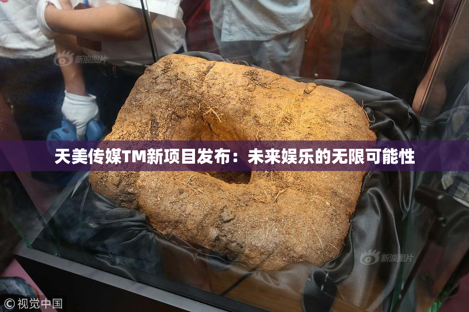 天美传媒TM新项目发布：未来娱乐的无限可能性