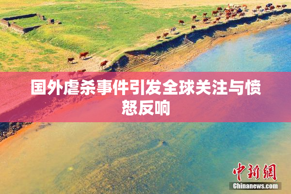 国外虐杀事件引发全球关注与愤怒反响