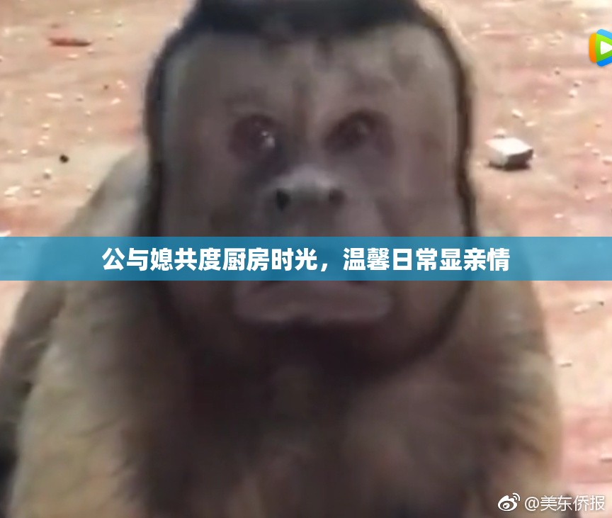 公与媳共度厨房时光，温馨日常显亲情