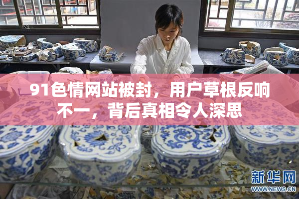 91色情网站被封，用户草根反响不一，背后真相令人深思