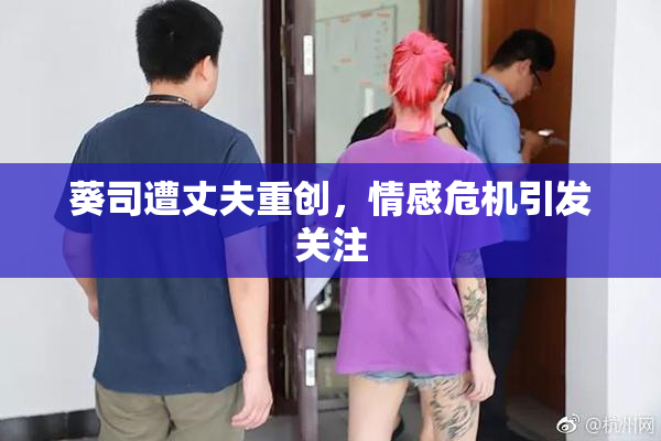 葵司遭丈夫重创，情感危机引发关注