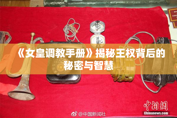 《女皇调教手册》揭秘王权背后的秘密与智慧