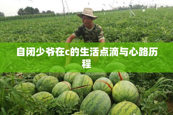 自闭少爷在c的生活点滴与心路历程