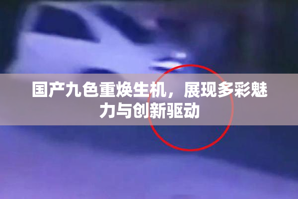 国产九色重焕生机，展现多彩魅力与创新驱动