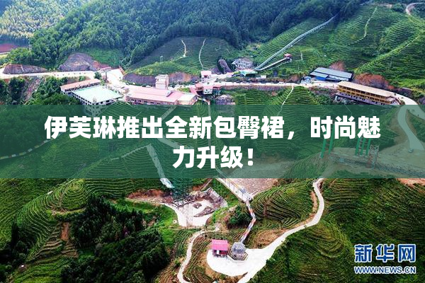 伊芙琳推出全新包臀裙，时尚魅力升级！