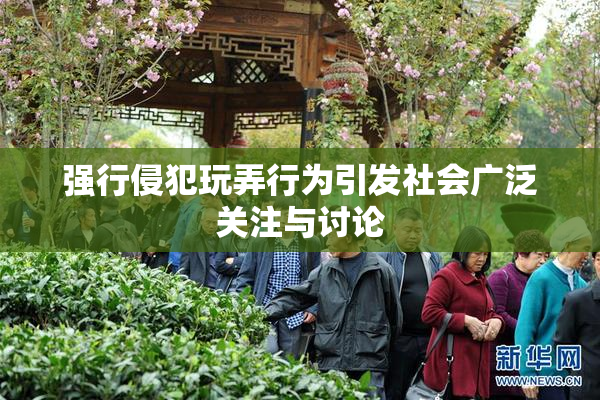 强行侵犯玩弄行为引发社会广泛关注与讨论