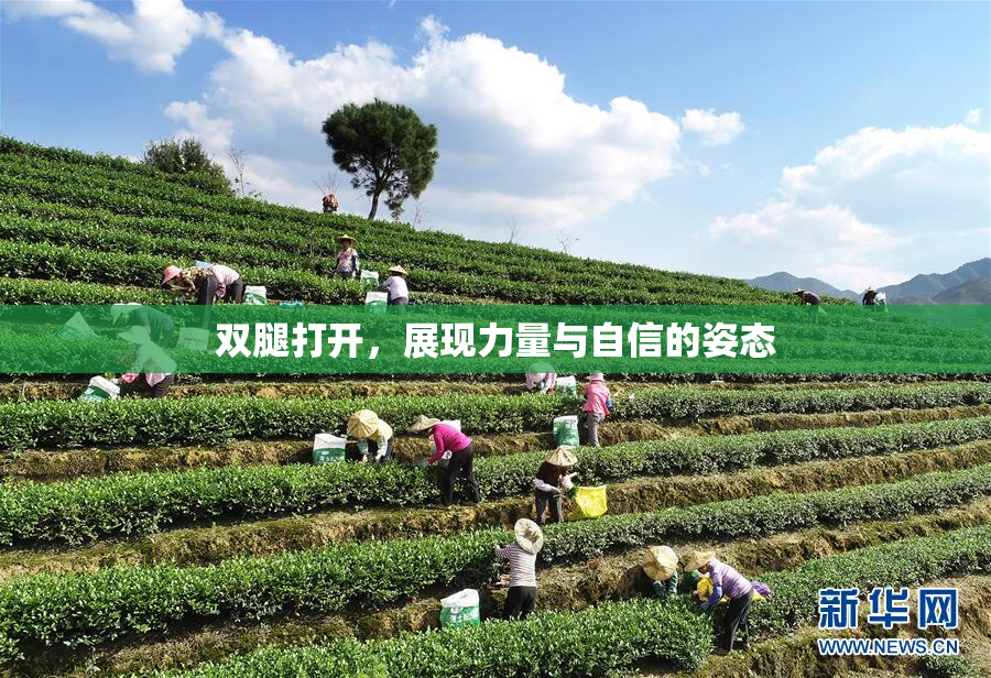 双腿打开，展现力量与自信的姿态