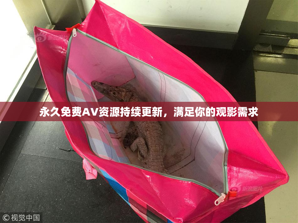 永久免费AV资源持续更新，满足你的观影需求