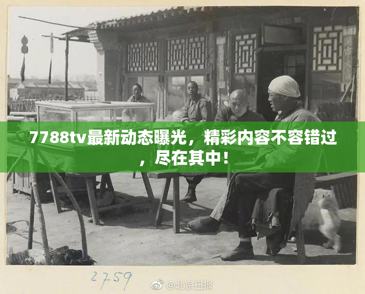 7788tv最新动态曝光，精彩内容不容错过，尽在其中！